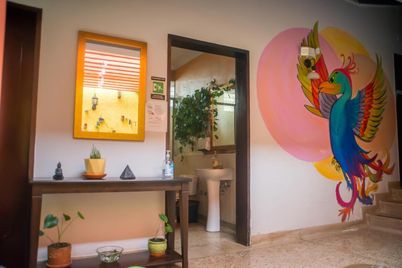 Ivy Hostel Medellín Dış mekan fotoğraf