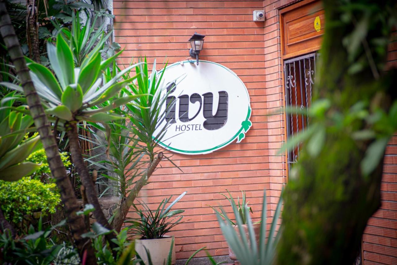 Ivy Hostel Medellín Dış mekan fotoğraf