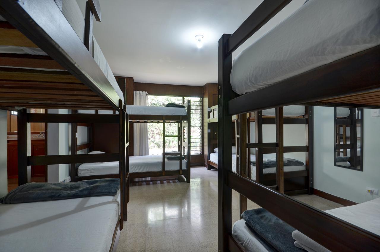 Ivy Hostel Medellín Dış mekan fotoğraf